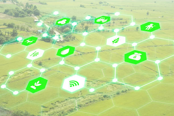 istock IOT, internet of things,technology in green energy concept, 645173782