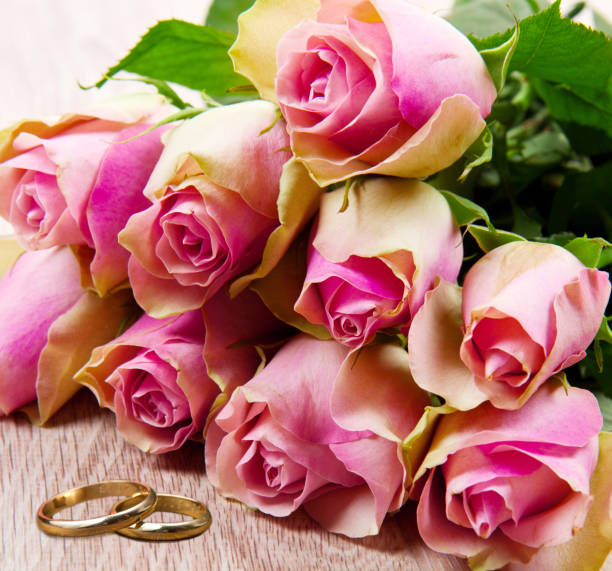 istock Pink roses isolated on wood background 645182724