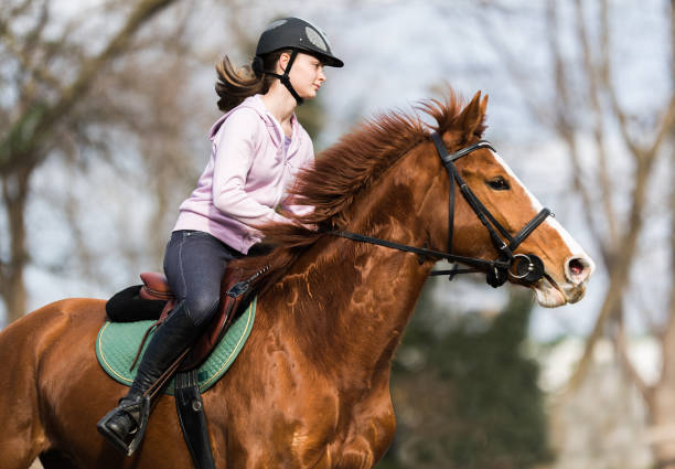 istock Young pretty girl riding a horse 645182964