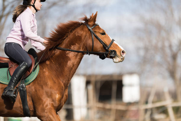 istock Young pretty girl riding a horse 645183154