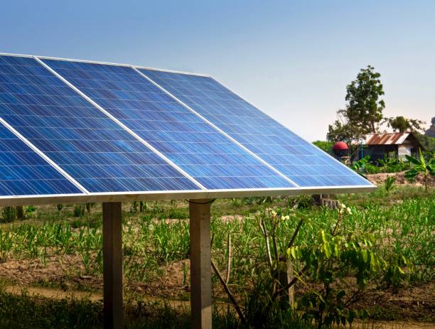 istock Solar Cell Panels in Rice Field ,Thailand 645201154