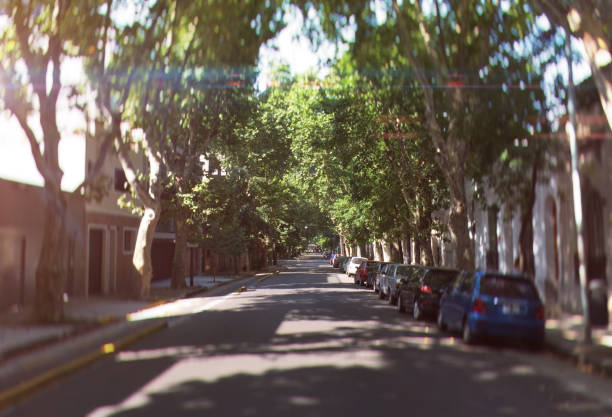 istock Buenos Aires street 645204020