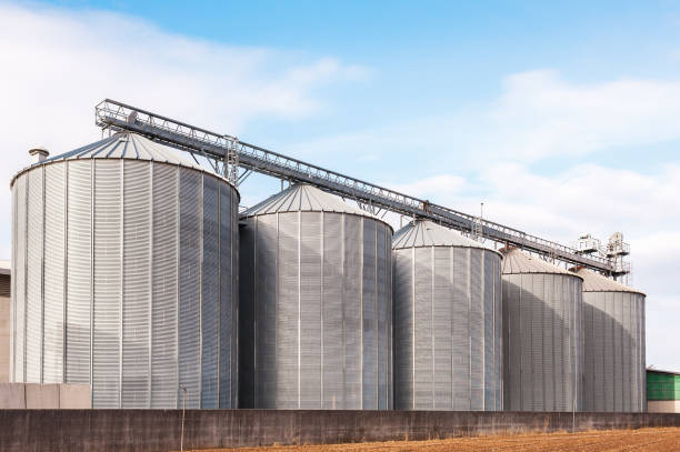 istock Agricultural silos on blue sky. 645204028