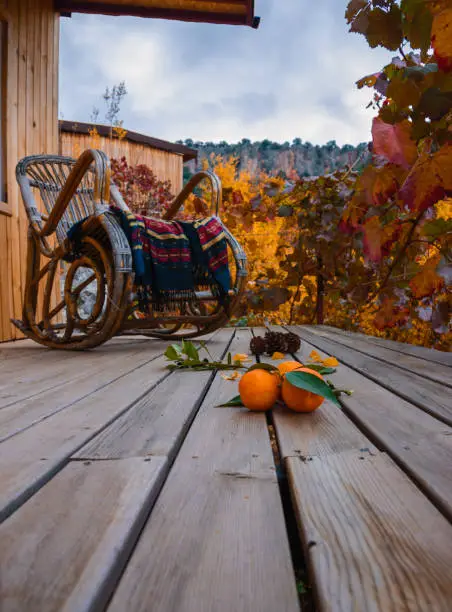 Beautiful Place to Relax with a rocking chair, wooden floor, Tangerines with leaves and pine cones, veranda near Bungalows, natural vision of Peace.