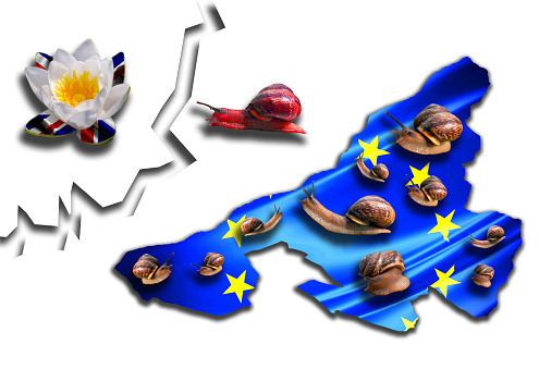 An abstract concept of brexit with a moving snail and national flags on white background.