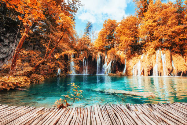 scenic views of the turquoise water and sunlight - stream forest river waterfall imagens e fotografias de stock