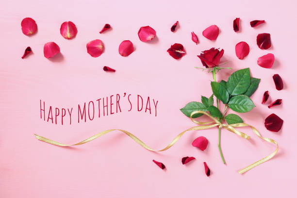 istock mother's day concept with rose on pink background 645215010