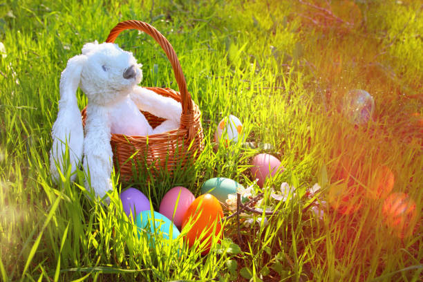 istock White cute bunny in the basket next to easter colorful eggs 645215090