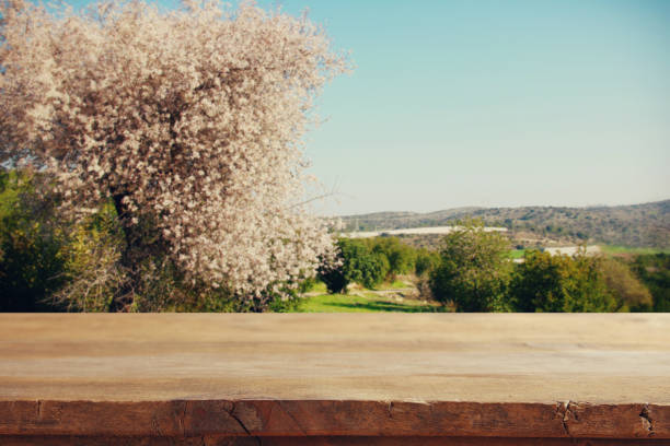 istock wooden table in front of spring cherry blossoms tree 645215238