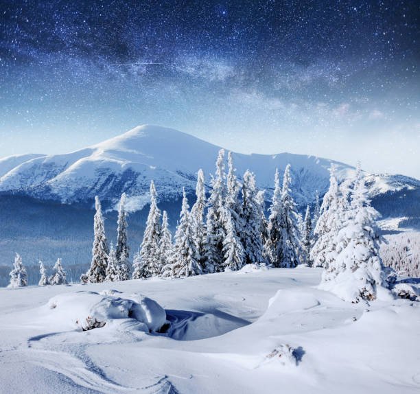 istock Dairy Star Trek in the winter woods. 645218292