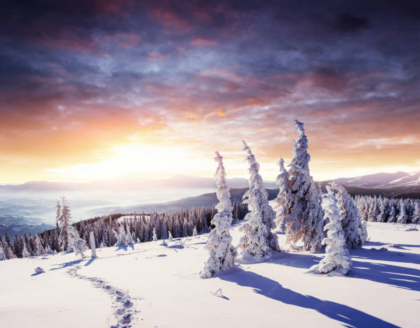 istock Fantastic winter landscape, steps, something leading into the mo 645220854