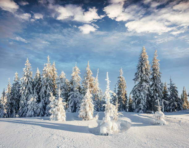 istock Mysterious winter landscape majestic mountains 645221258