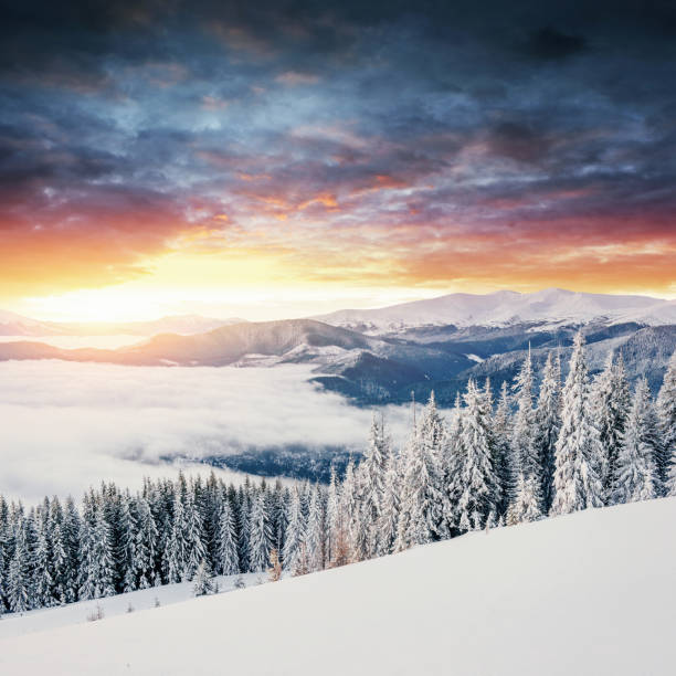 istock Mysterious winter landscape majestic mountains 645221584