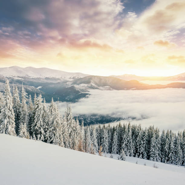 istock Mysterious winter landscape majestic mountains 645221676