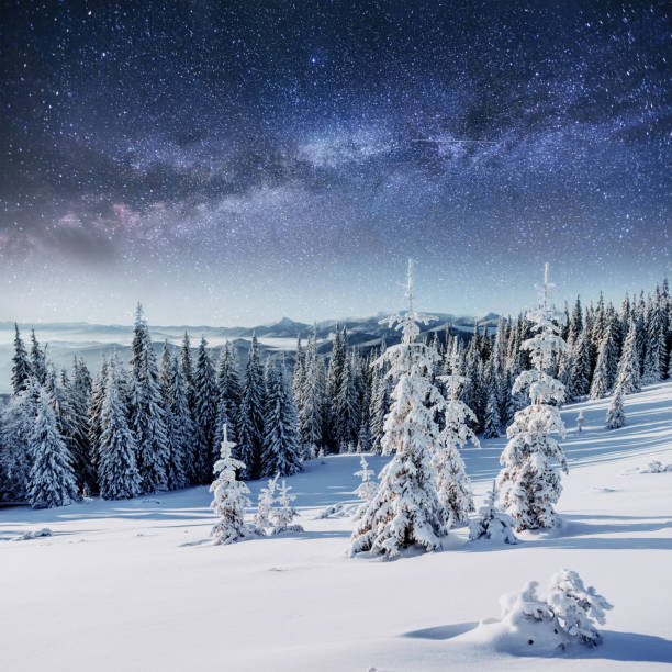 istock Dairy Star Trek in the winter woods. 645224212