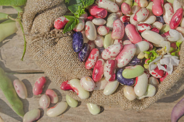 istock Dry beans in burlap sack 645230588
