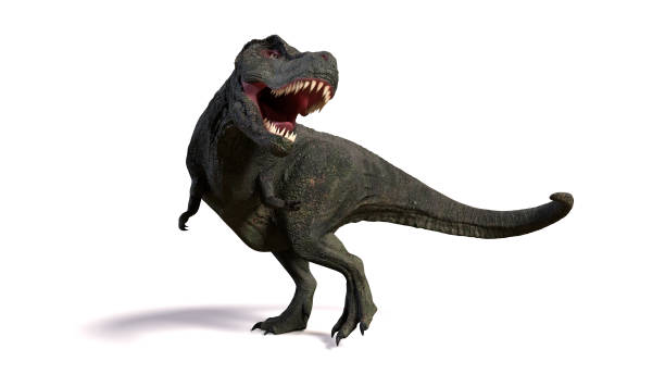 istock Tyrannosaurus rex, anatomically correct T-rex dinosaur from the Jurassic period 645234100