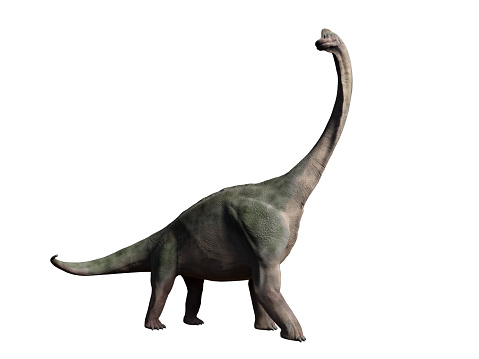 huge  dinosaur, 3d illustration isolated on white background