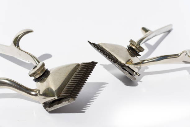 istock Vintage hair clippers isolated on white background 645240768