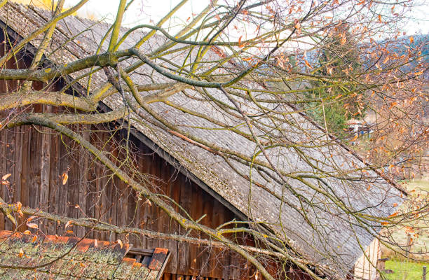 istock Barn roof in the village 645243230