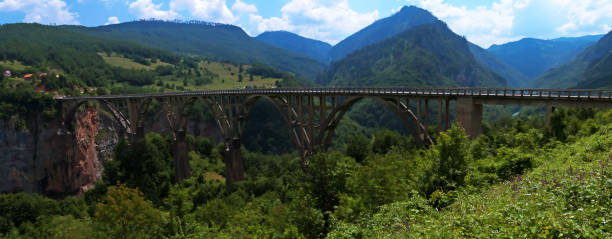 istock Durdevica arched Tara Bridge over green Tara Canyon 645252354