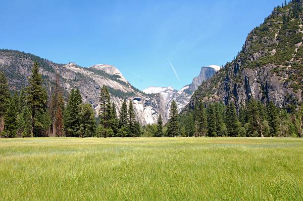 Typical Landscape in the Yosemite National Park in the western part of the USA stock photo