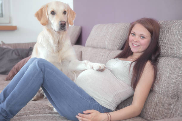 Pregnant Women And A Dog Stock Photo - Download Image Now - Pregnant,  Teenager, Dog - iStock