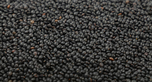 istock Black Beluga lentil lens close up background 645261328