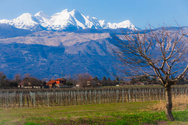 istock Early spring panorama in north-east Italy 645264372