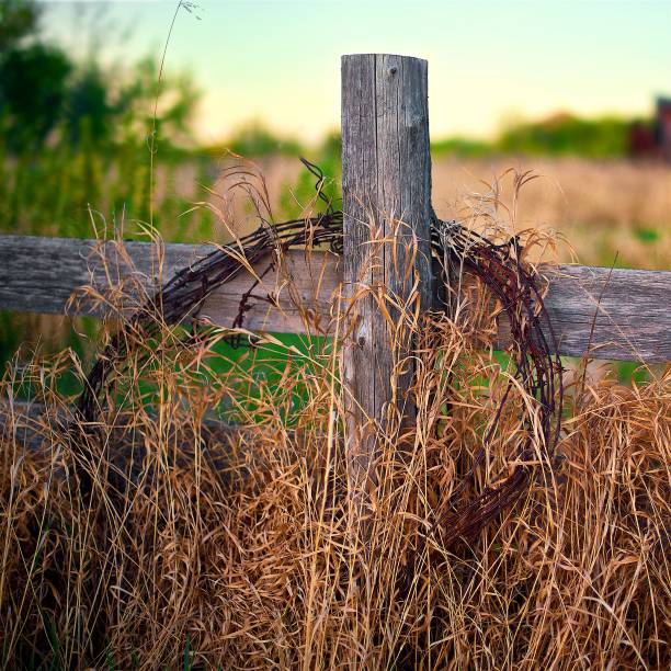 istock Weathered wood fence and rusty wire 645264738