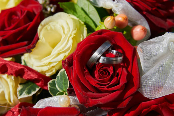 istock bride holding wedding bouquet with roses 645270720