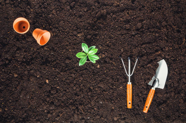 istock Gardening tools on garden soil texture background top view 645273506