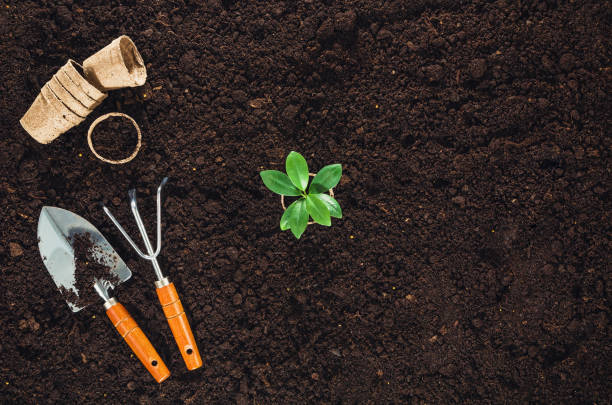 istock Gardening tools on garden soil texture background top view 645275768