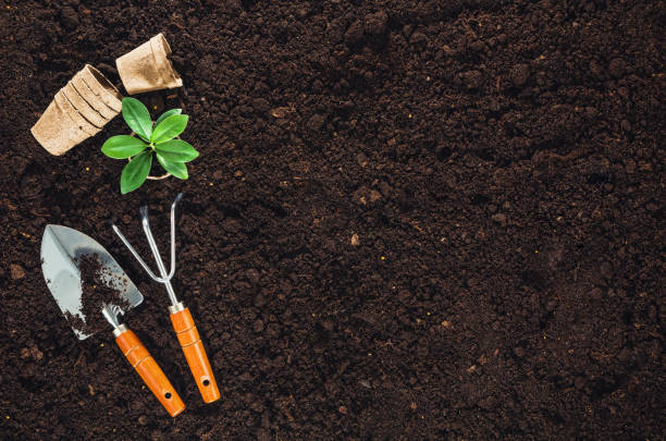 istock Gardening tools on garden soil texture background top view 645275816