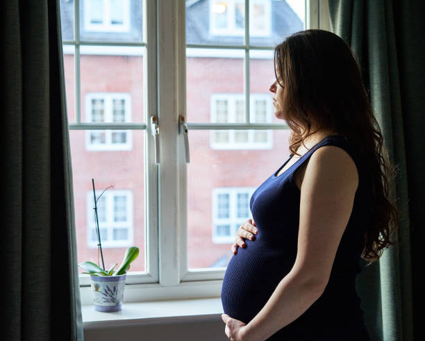 portrait de maternité en face de la fenêtre au royaume-uni. - human pregnancy photos et images de collection
