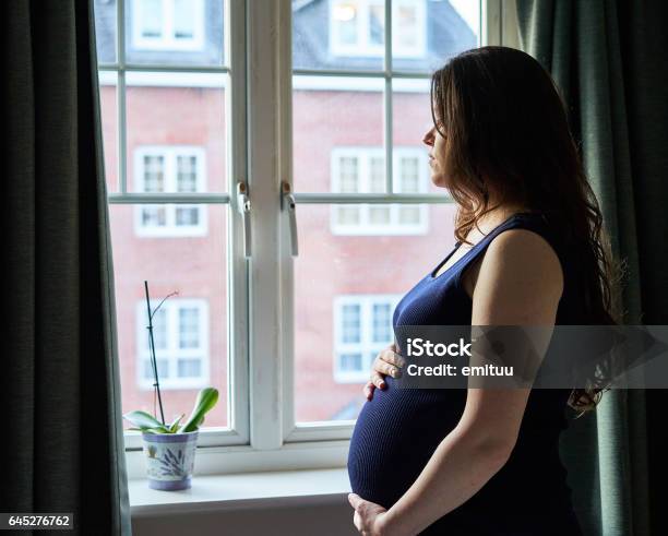 Maternity Portrait In Front Of Window In Uk Stock Photo - Download Image Now - Pregnant, Women, One Woman Only