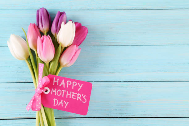 어머니 날  - greeting card flower mothers day tulip 뉴스 사진 이미지
