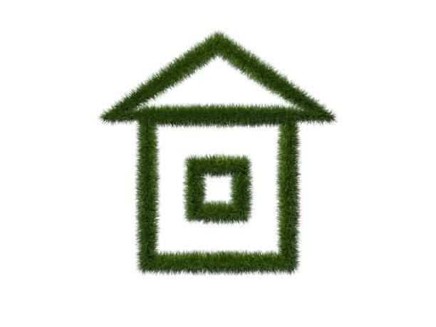 istock Grassy house icon on white background. Isolated graphic illustration. 3d rendering 645299428