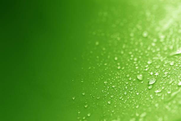 rain drops on the window - high textured background