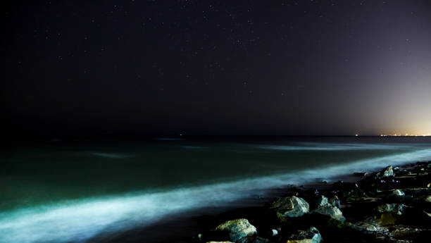 istock Stars with sandy beach at night 645316496