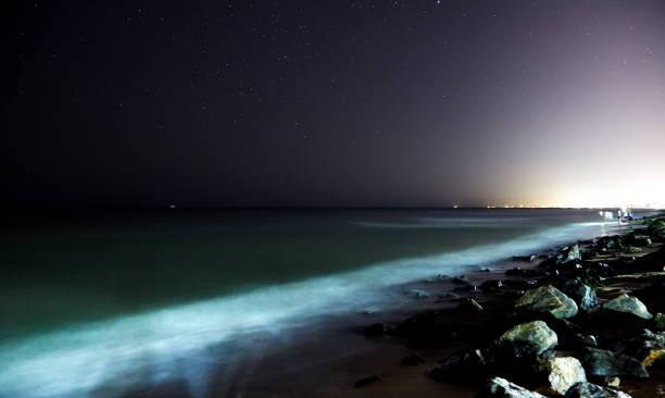 istock Stars with sandy beach at night 645318694