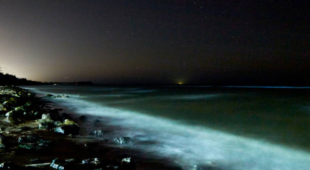 istock Stars with sandy beach at night 645318722