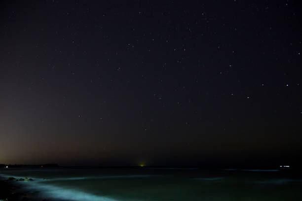 istock Stars with sandy beach at night 645318792