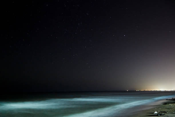 istock Stars with sandy beach at night 645324796