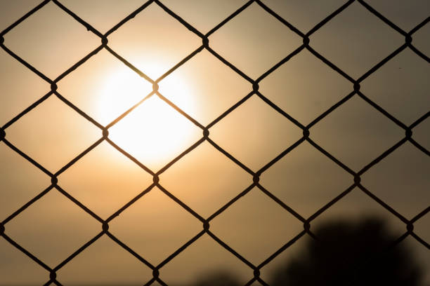 istock Steel wire mesh fence on a sunset background 645327856