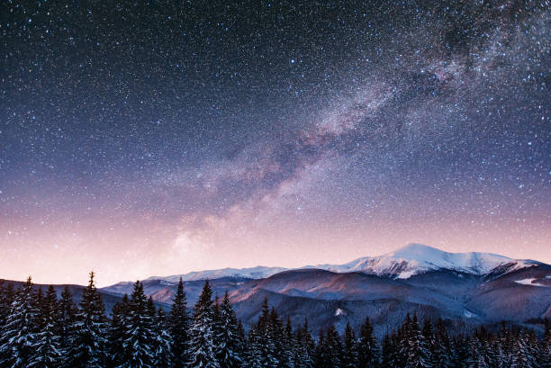 istock Dairy Star Trek in the winter woods. 645328308