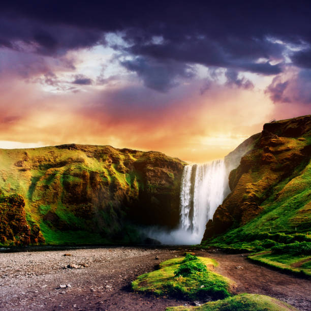 istock Great waterfall Skogafoss in south of Iceland 645331040