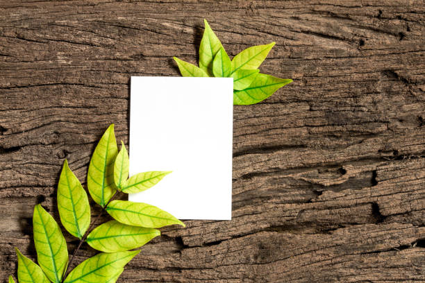 White blank paper sheet with fresh spring  green leafs