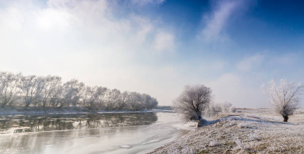 istock Beautiful winter scenery with trees covered by frost 645334858
