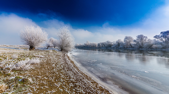 Beautiful winter scenery with trees covered by frost, along frozen river